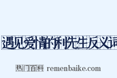 遇见爱情的利先生反义词是什么意思的图片